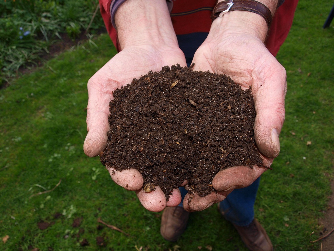 10 Modi Creativi per Riciclare i Fondi di Caffè: Non Sprecare Nemmeno un Grano